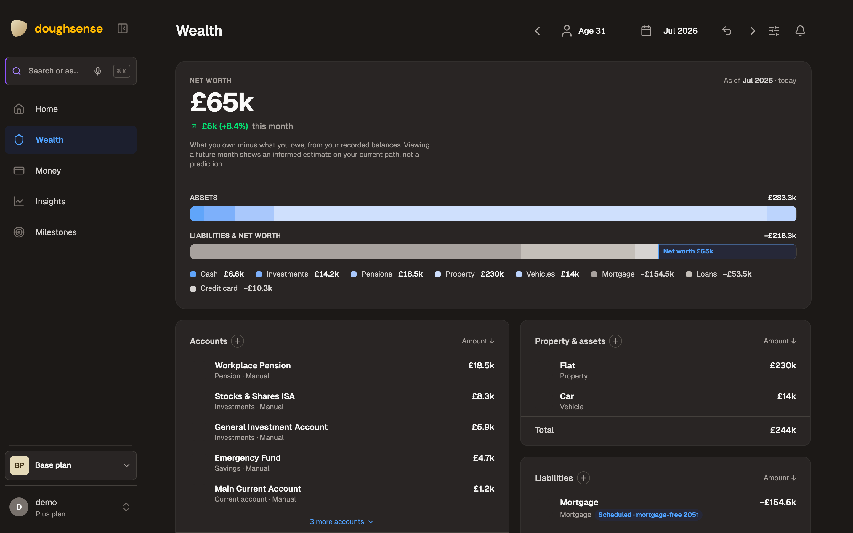 The Wealth screen: accounts, assets, and debts with financial health metrics