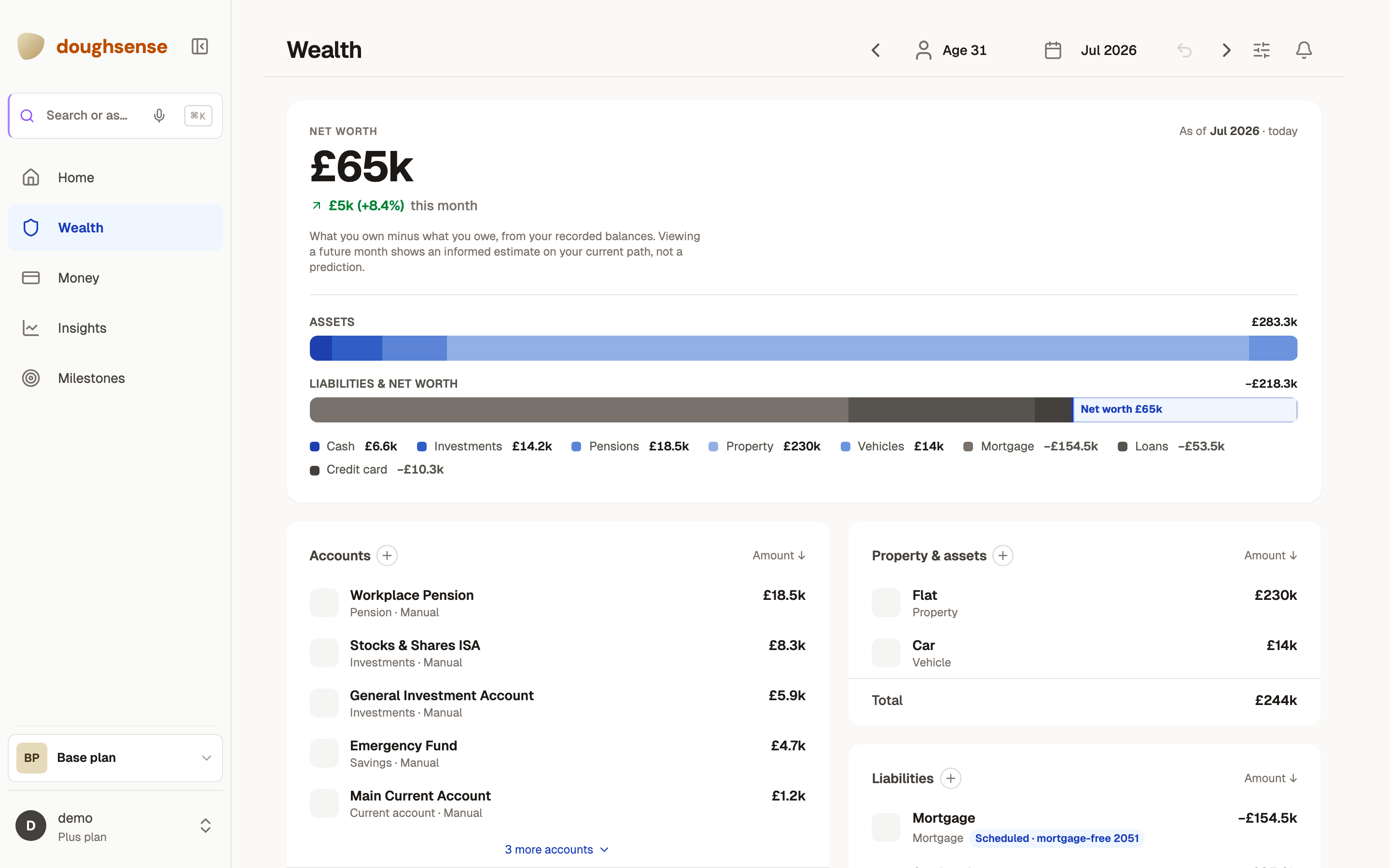 The Wealth screen: accounts, assets, and debts with financial health metrics